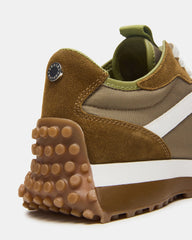 CAMPO OLIVE MULTI